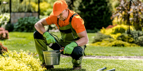 garden cleaning services